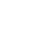 proportion people icon